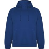 Vue 1 de Sweat à capuche de 300 g/m² Vinson en coton organique unisexe