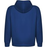 Vue 2 de Sweat à capuche de 300 g/m² Vinson en coton organique unisexe