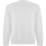 Vue 1 de Sweat shirt de 300 g/m² Batian en coton organique