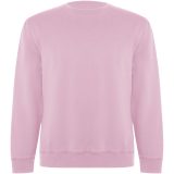 Vue 1 de Sweat shirt de 300 g/m² Batian en coton organique