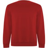 Vue 1 de Sweat shirt de 300 g/m² Batian en coton organique
