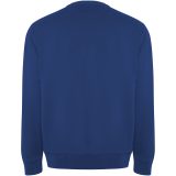 Vue 2 de Sweat shirt de 300 g/m² Batian en coton organique