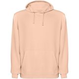 Vue 1 de Sweat à capuche unisexe de 250 g/m² Kenia