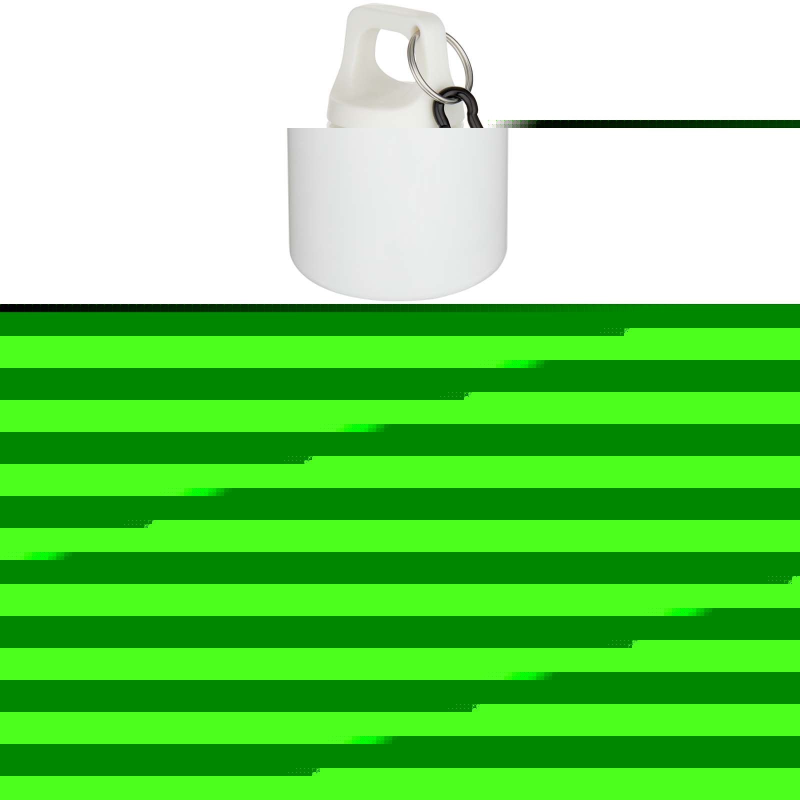 Bouteille d’eau Oregon de 750 ml en plastique recyclé uni certifié RCS avec mousqueton