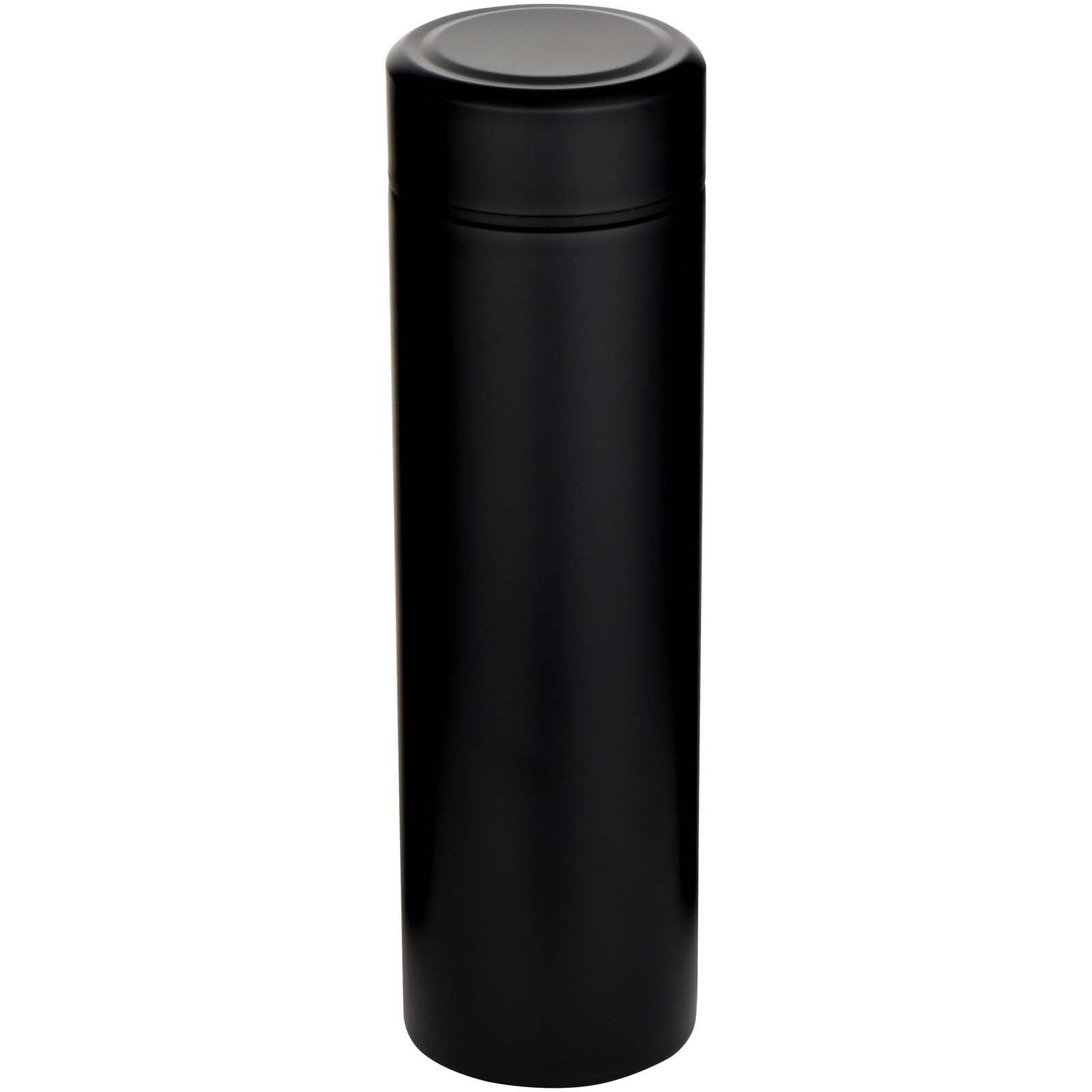 Gourde Taylor en acier inoxydable à double paroi de 450 ml avec filtre à thé