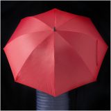 Vue 9 de Parapluie golf 30" Zeke
