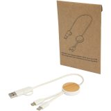 Vue 1 de Câble 5 en 1 Chechia en plastique recyclé de 30 cm pour la synchronisation des données et la charge rapide de 27 W avec détai
