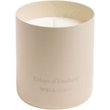 Vue 10 de Bougie parfumée Wellmark