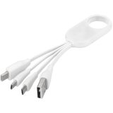 Vue 1 de Câble USB multi ports type C 4 en 1 Troup