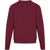 Vue 14 de Sweat shirt ras du cou unisexe de 300 g/m² Arora