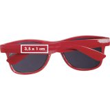 Vue 8 de Lunettes de soleil PET Illinois