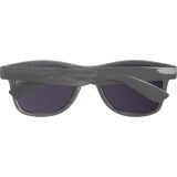 Vue 11 de Lunettes de soleil PET Illinois