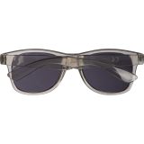 Vue 19 de Lunettes de soleil PET Illinois