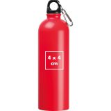Vue 19 de Gourde en acier inoxydable Ostrov