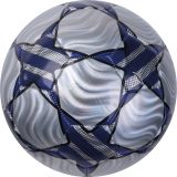 Vue 2 de Ballon de Football Dortmund