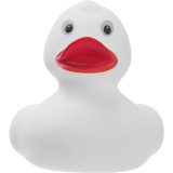 Vue 2 de Canard couinant Blankenberge
