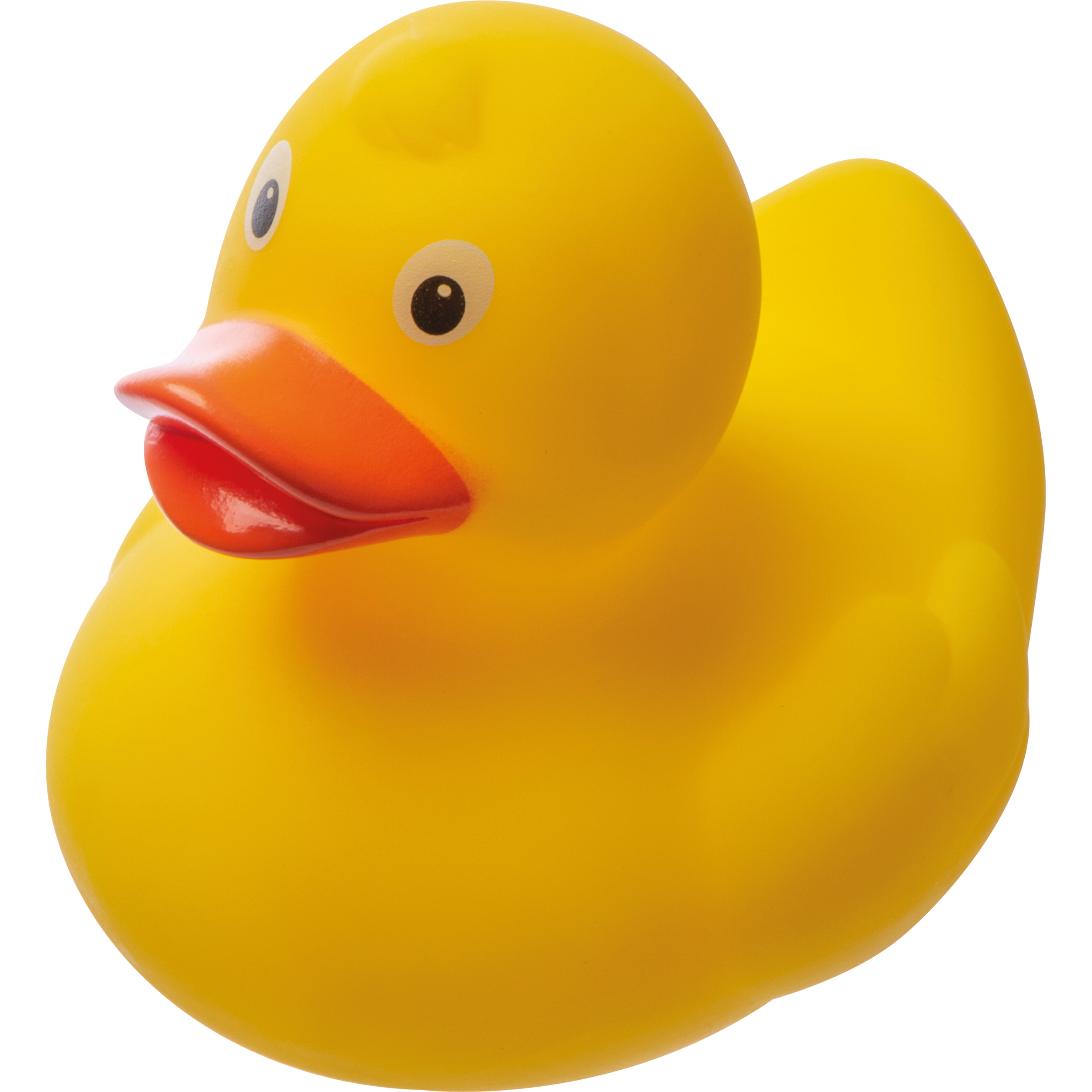 Canard couinant Blankenberge