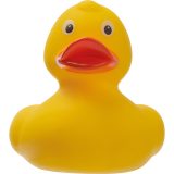Vue 6 de Canard couinant Blankenberge