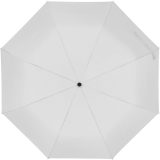 Vue 3 de Parapluie Ipswich