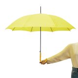 Vue 8 de DANCE Umbrella - DANCE Umbrella, Parapluie automatique