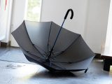 Vue 13 de CANCAN Umbrella - CANCAN Umbrella, Parapluie automatique