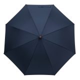 Vue 2 de EARL Umbrella - EARL Umbrella, Parapluie de golf automatique