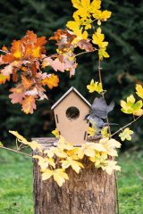 Vue 6 de MECOZI HOME - Mangeoire
